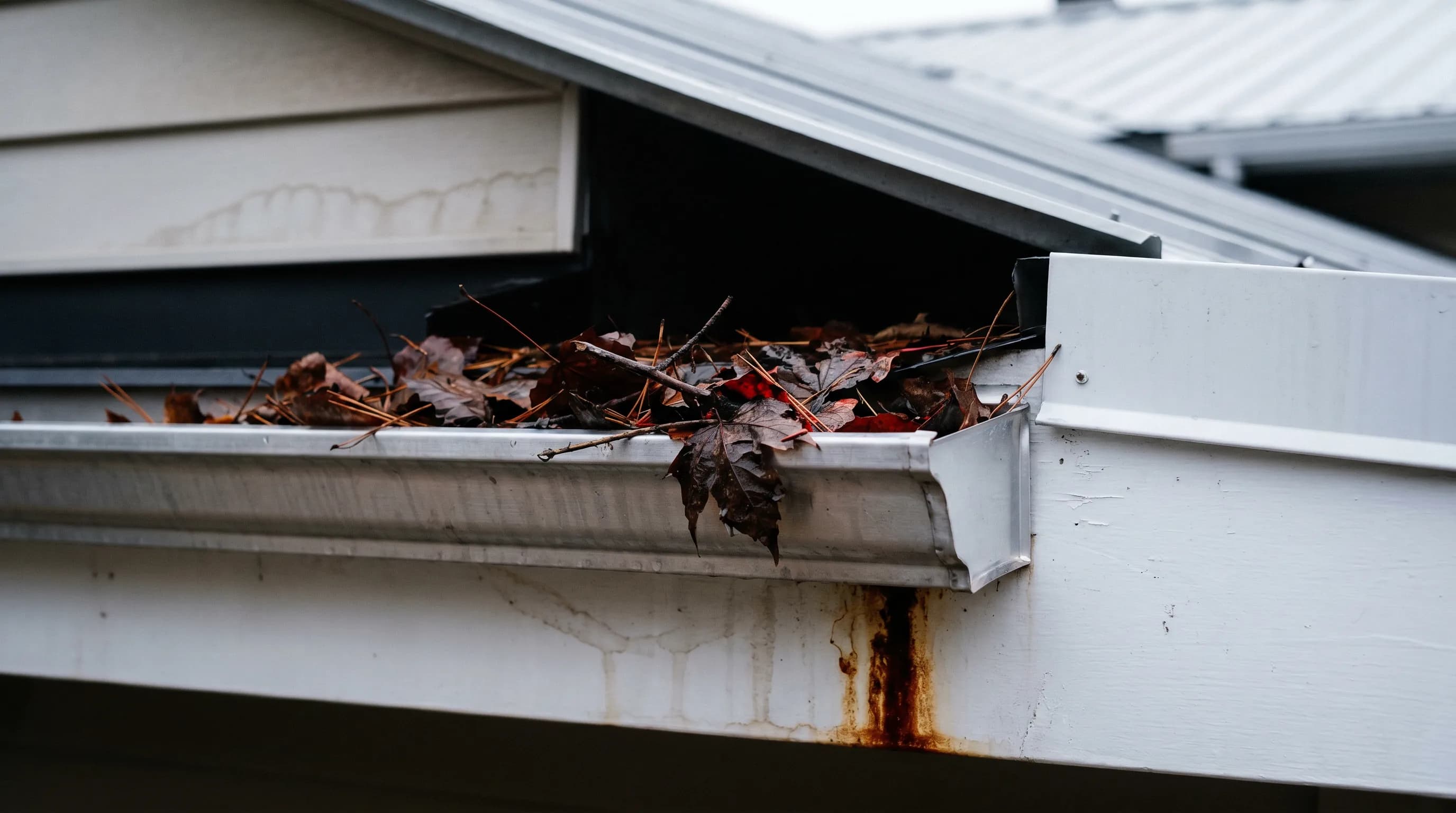 Before a StreetDrop door hanger campaign — Leaf-stuffed eavestrough vs scrubbed aluminum